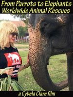 Watch From Parrots to Elephants: Worldwide Animal Rescues Soap2day