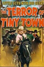 Watch The Terror of Tiny Town Soap2day
