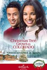 Watch A Christmas Tree Grows in Colorado Soap2day