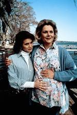 Watch Labor of Love The Arlette Schweitzer Story Soap2day