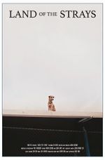 Watch Land of the Strays (Short 2018) Soap2day