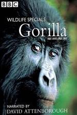 Watch Gorilla Revisited with David Attenborough Soap2day