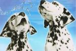 Watch 101 Dalmatians Sing Along Soap2day