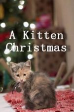 Watch A Kitten Christmas Soap2day