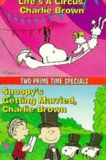 Watch Snoopy's Getting Married Charlie Brown Soap2day