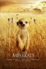 Watch The Meerkats Soap2day