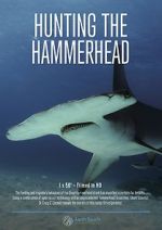 Watch Hunting the Hammerhead Soap2day
