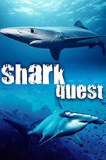 Watch Shark Quest Soap2day