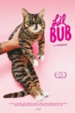 Watch Lil Bub & Friendz Soap2day