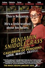 Watch Benjamin Sniddlegrass and the Cauldron of Penguins Soap2day