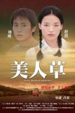 Watch The Foliage Soap2day