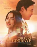 Watch The Last Goodbye Soap2day