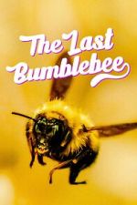 Watch The Last Bumblebee Soap2day