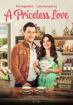 Watch A Priceless Love Soap2day