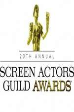 Watch The 20th Annual Screen Actors Guild Awards Soap2day