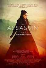 Watch The Assassin Soap2day