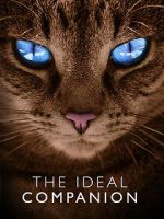 Watch The Ideal Companion Soap2day