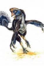 Watch National Geographic Wild : Evolutions Last Living Dinosaur Soap2day