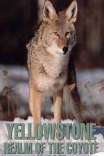 Watch Yellowstone: Realm of the Coyote Soap2day