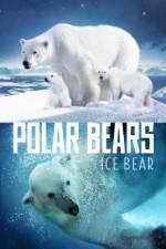 Watch Polar Bears Ice Bear Soap2day