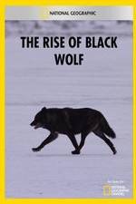 Watch The Rise of Black Wolf Soap2day