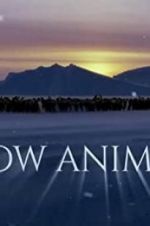 Watch Snow Animals Soap2day