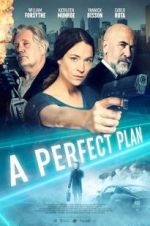 Watch A Perfect Plan Soap2day