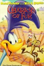 Watch Ready Woolen and Able Soap2day