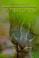 Watch Thailand's Wild Cats Soap2day
