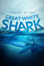 Watch Secrets of the Great White Shark Soap2day