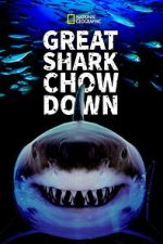 Watch Great Shark Chow Down Soap2day