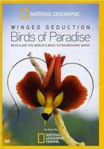 Watch Winged Seduction: Birds of Paradise Soap2day