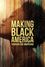 Watch Making Black America: Through the Grapevine Soap2day