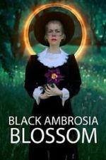 Watch Black Ambrosia Blossom Soap2day