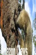 Watch National Geographic Wild Amazon Claws Soap2day