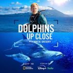 Watch Dolphins Up Close with Bertie Gregory (TV Special 2025) Soap2day