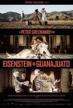 Watch Eisenstein in Guanajuato Soap2day