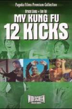 Watch Shi er tan tui Soap2day