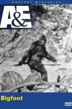 Watch A&E Ancient Mysteries - Bigfoot Soap2day