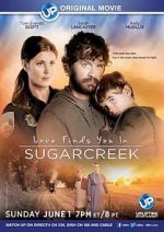 Watch Love Finds You in Sugarcreek Soap2day