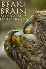 Watch Beak & Brain - Genius Birds from Down Under Soap2day