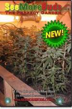 Watch SeeMoreBuds: Vol. 3 Soap2day