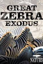 Watch Nature: Great Zebra Exodus Soap2day