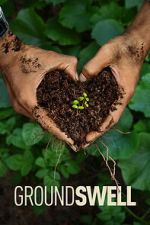 Watch Groundswell Soap2day