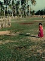 Watch Hometown Soap2day