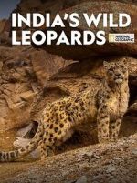 Watch India\'s Wild Leopards (Short 2020) Soap2day