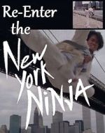 Watch Re-Enter the New York Ninja Soap2day