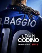 Watch Baggio: The Divine Ponytail Soap2day