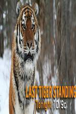 Watch Discovery Channel-Last Tiger Standing Soap2day