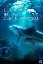 Watch Dolphins in the Deep Blue Ocean Soap2day